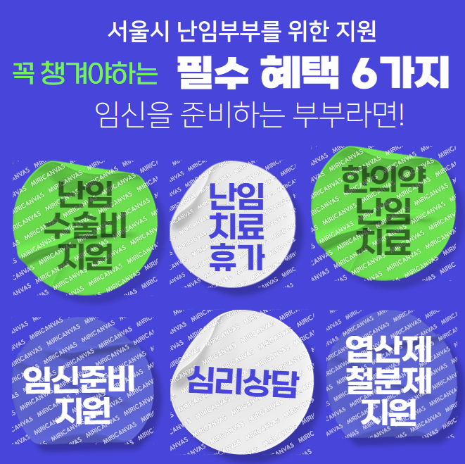 서울시 난임지원 프로그램 6가지 신청방법 지원내용 시술비 지원 휴가